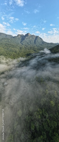 Imagem panorâmica sobre serra do mar na mata atlântica em Morretes com Morro do sete ao fundo.