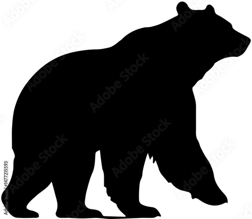 bear silhouette vector