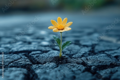 Bright yellow flower grows through cracks in pavement, showcasing nature's resilience in a city environment