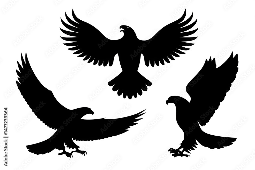 Obraz premium Set of silhouette eagles, eagle vector illustration, silhouette of eagles 