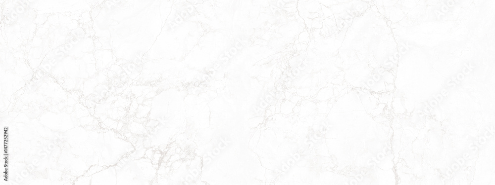 Obraz premium high resolution white Carrara marble stone texture 