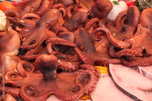 Street food in Palermo