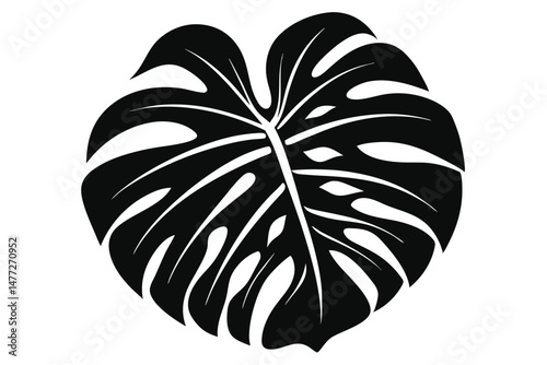 Stylized Black Silhouette of a Monstera Leaf with Intricate Fenestrations and Veining