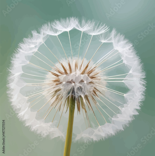 White Dandelion Seed Head Against a Soft Blurred Background