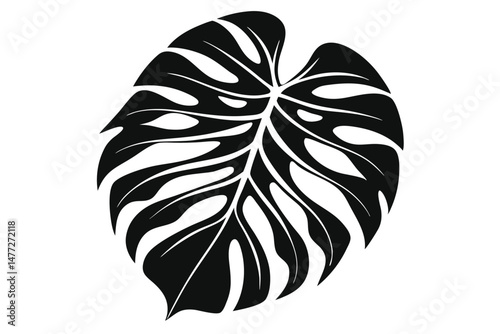 Stylized Monstera Leaf Silhouette Illustration Detailed Black and White Botanical Graphic Element