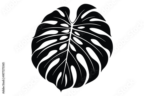 Graphic Monstera Leaf Illustration Elegant Black Silhouette with Distinctive Fenestrations