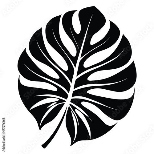 Bold Monstera Deliciosa Leaf Illustration Botanical, Tropical, Modern Design Element