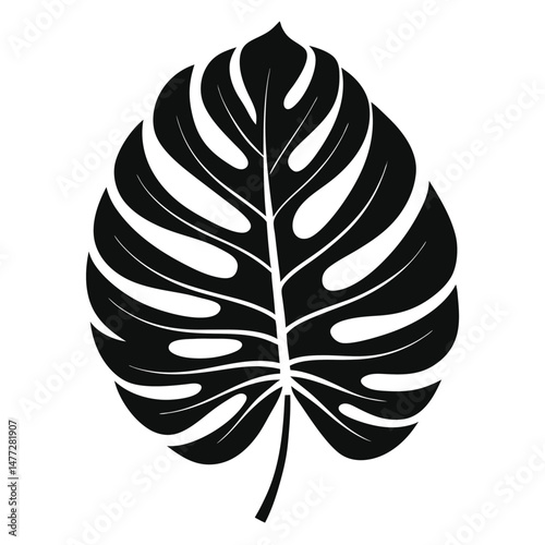 Bold Black Silhouette of a Monstera Deliciosa Leaf with Stem Detail
