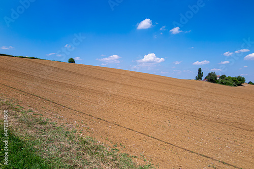 collina campo arato