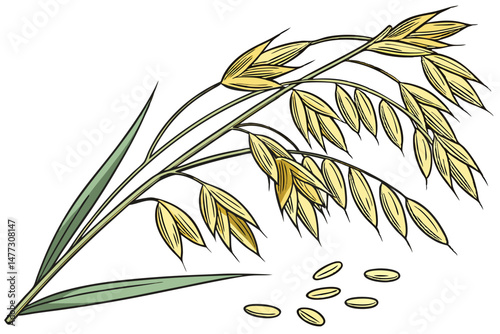 99 oats, high resolution, close up, detailed, realistic, studio lighting, plain background, 8k