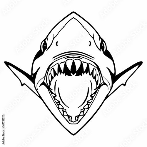 shark vector illustration