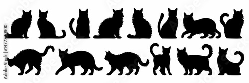 Black Silhouettes of 12 Cats in Different Poses Including Sitting, Standing, and Walking Positions