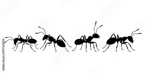 Collection of Four Ant Silhouettes Showing Movement and Form in a Clean Black Vector Style