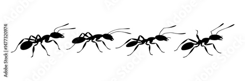Black Silhouette Illustration of Four Ants in Different Walking Poses with Detailed Body Shapes
