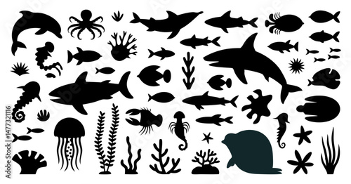 Black and White Ocean Creatures and Sea Life Illustrations Including Sharks, Fish, and Seahorses