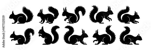 Black Silhouettes of Squirrels in Different Poses Including Sitting, Running, and Tail Movements