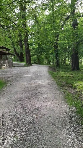 path in the park