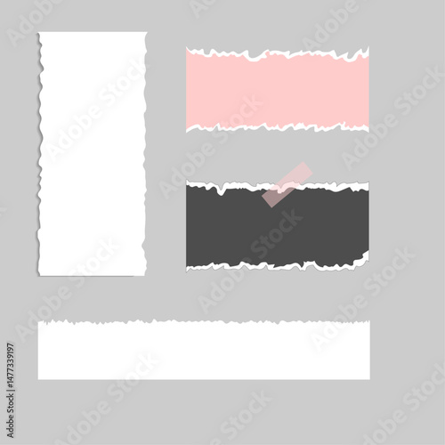 Paper torn cut vector element