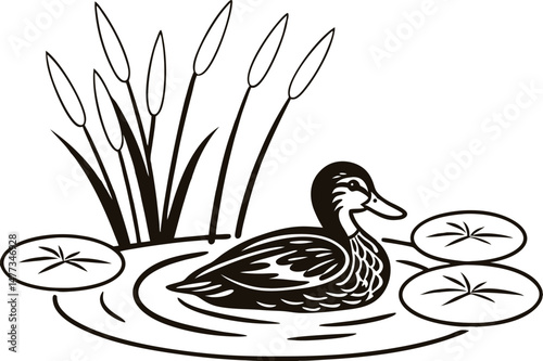 Black and white illustration of a duck floating in pond water near reeds and lily pads
