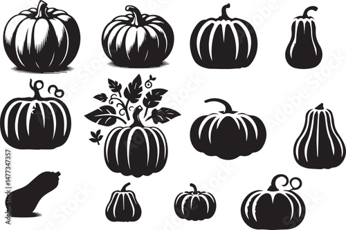 pumpkin silhouette, pumpkin vegetable icon vector set.eps