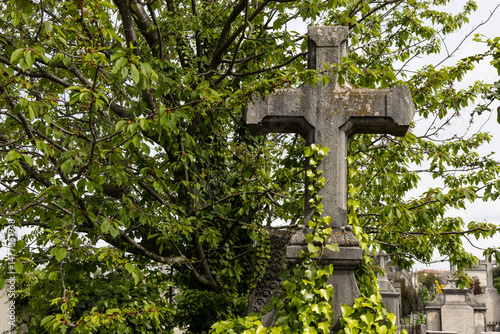 croix d'une tombe dans un cimetière envahie par la végétation