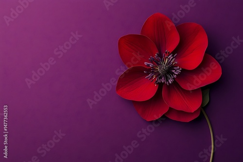 Red flower on purple background art