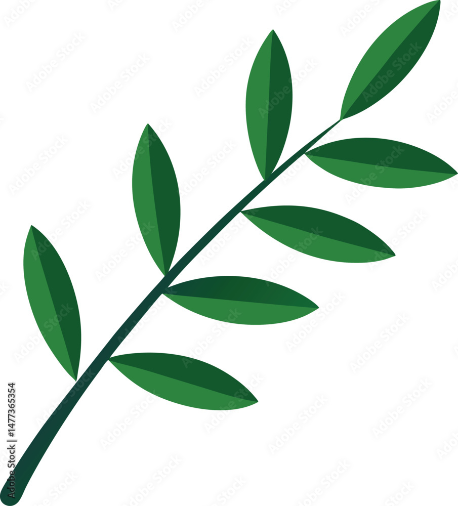 Fototapeta premium A simple drawing of an olive branch with leaves, vector line art style