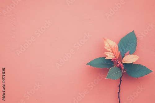 Botanical element on a solid background