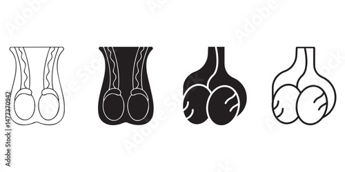 Human Testicle Icon Collection. Male reproductive organ anatomy collection. Reproductive system.