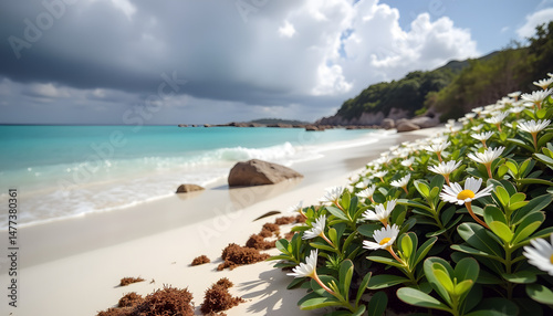 Serene beach with flowers and turquoise water under a cloudy sky  