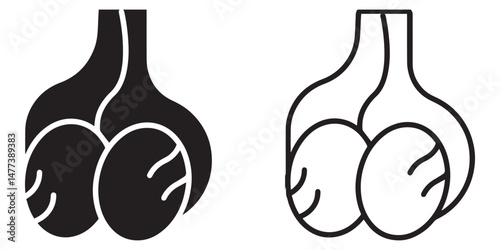 Human Testicle Icon Collection. Male reproductive organ anatomy collection. Reproductive system.