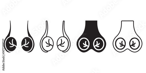Human Testicle Icon Collection. Male reproductive organ anatomy collection. Reproductive system.