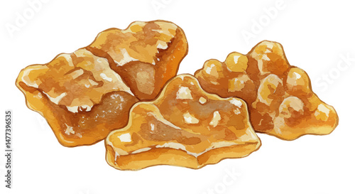 Watercolor Depiction Presents A Trio Of Asafetida Resin Pieces Their Forms Defined By Fluid Washes And Subtle Gradations Of Amber And Brown Hues Against A Stark White Background Creating