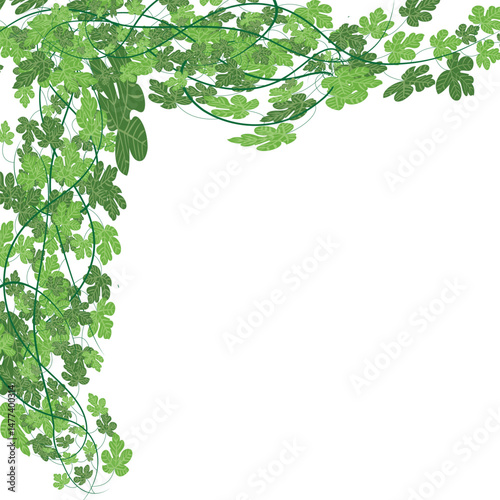 Green Ivy Vine Border Vector Clipart Decorative Design