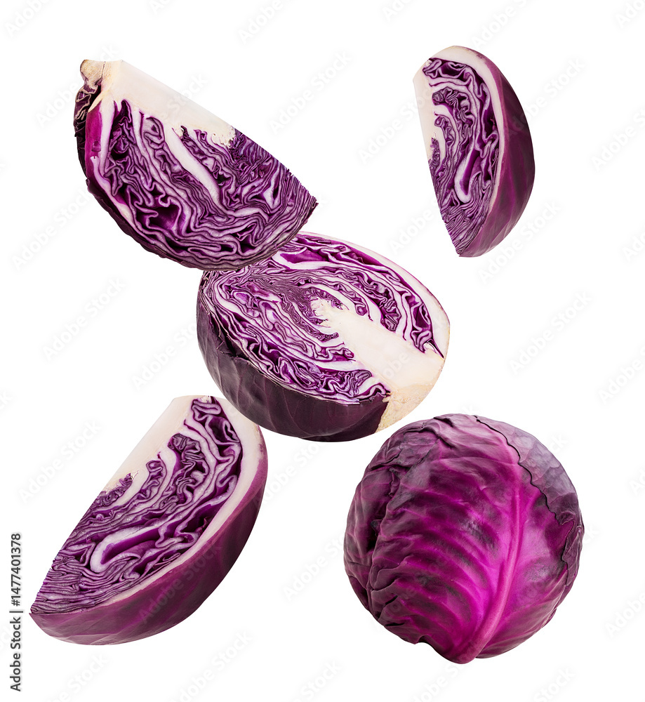 Red cabbage and slice fly Red cabbage and slice fly