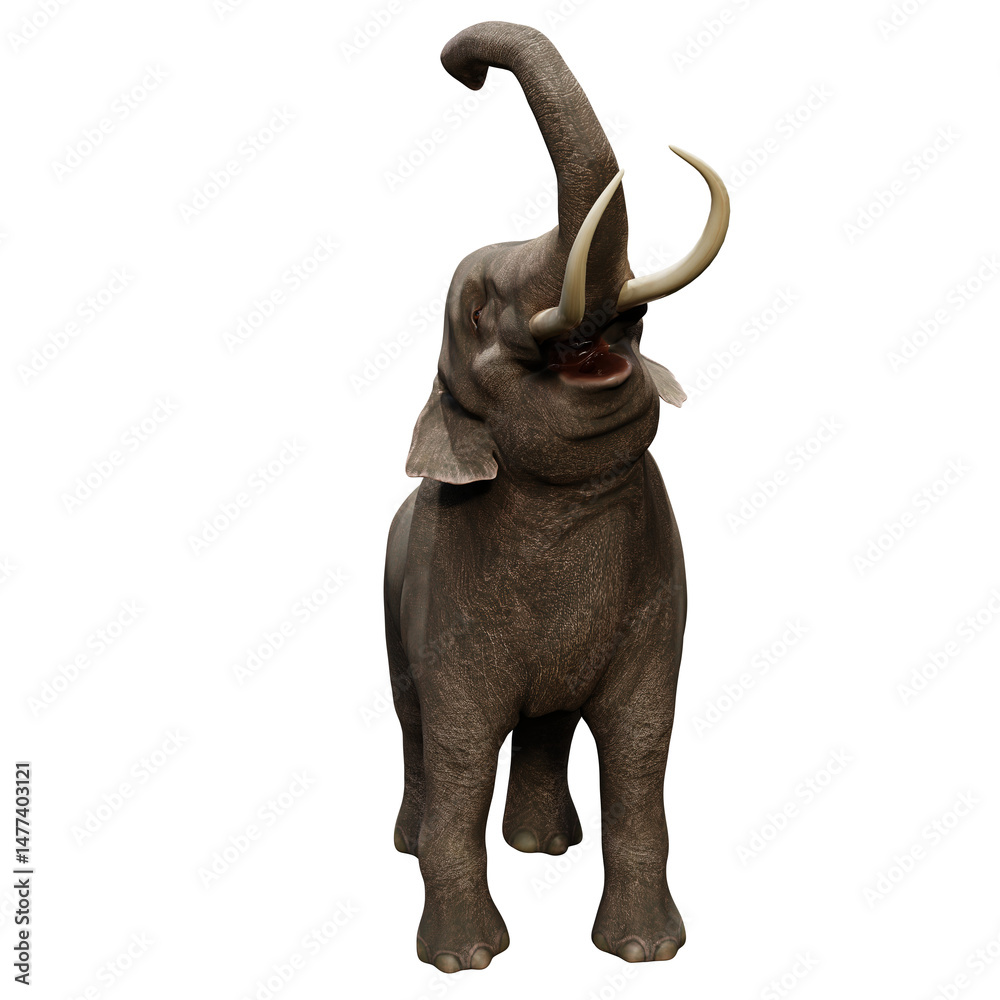 Obraz premium 3D rendered Indian elephant isolated on transparent background