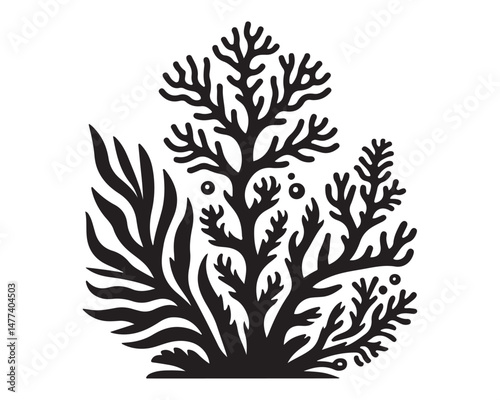 Algae 13.eps