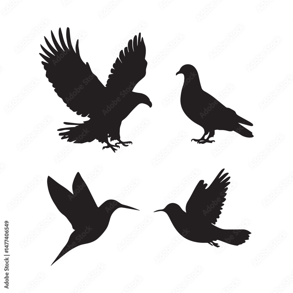 Obraz premium Birds silhouette vector