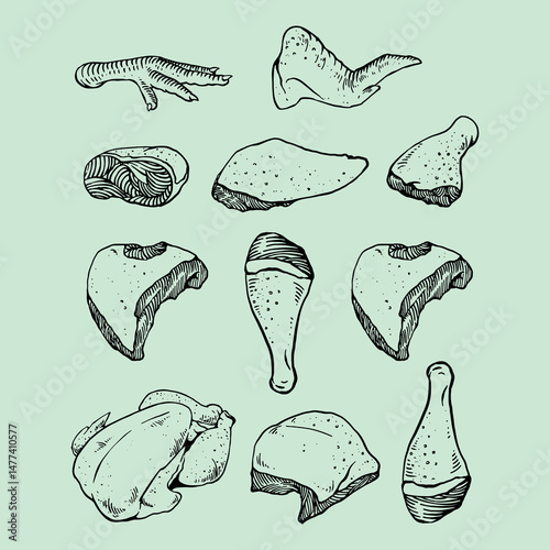 Hand-Drawn Chicken Cuts Illustration on a Light Green Background