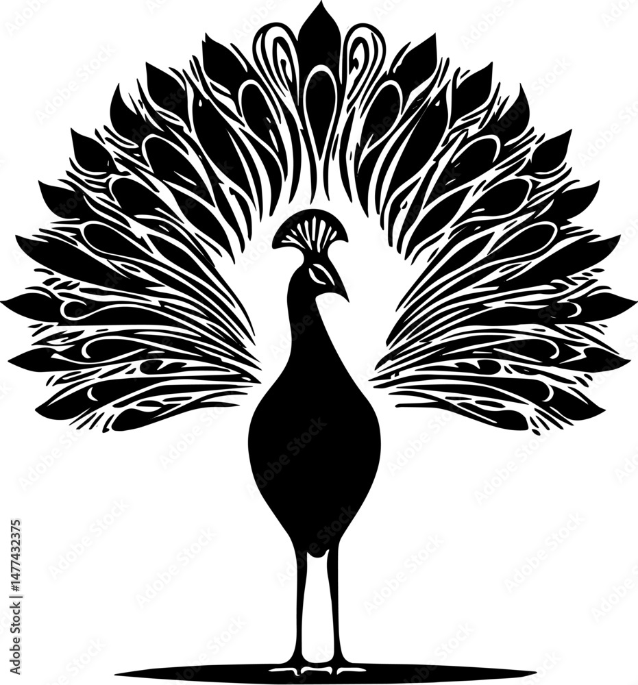 Fototapeta premium vector illustration of a peacock silhouette with its beautiful tail
