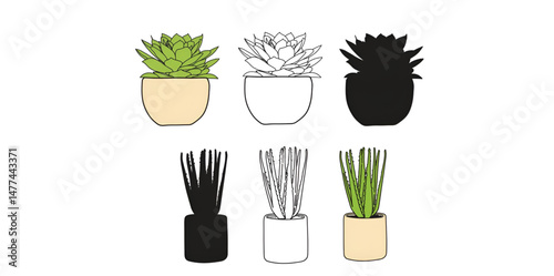 icons set of ornamental plants and flowers, ornamental plant illustrations. hand drawn ornamental plants, silhouettes of ornamental plants and flowers. wedding decoration.
