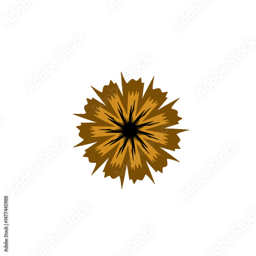 Abstract symmetrical floral design with sharp-edged petals against a dark background