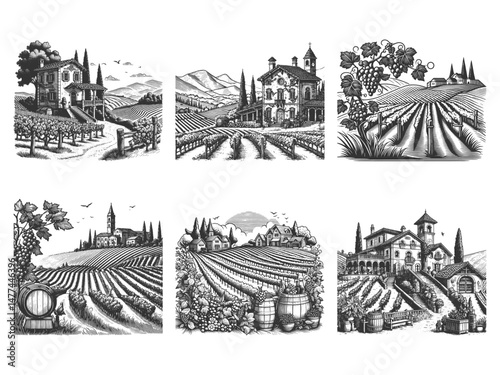 vineyards, wineries, grape fields, and rustic wine estates Set collection bundle sketch engraving generative ai vector illustration. Scratch board imitation. Black and white image.