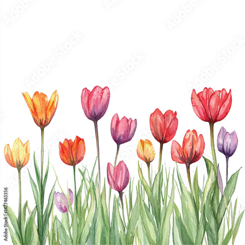 Cute cartoon watercolor A field of tulips