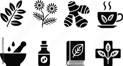 Natural Tea Herb Icons Perfect for Wellness Health Medicinal Plant Designs