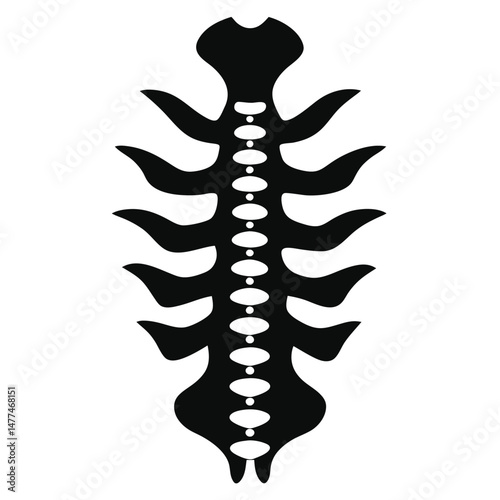 Black spinal column vertebra structure features a white disc isolated on a clear background