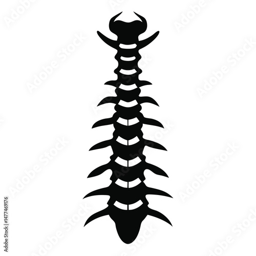 Black spine illustration displays the vertebral column with vertebrae and intervertebral discs against a white surface