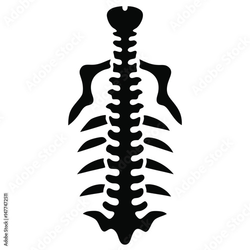 Abstract black vertebrae spinal column shows a detailed bone structure on a white backdrop