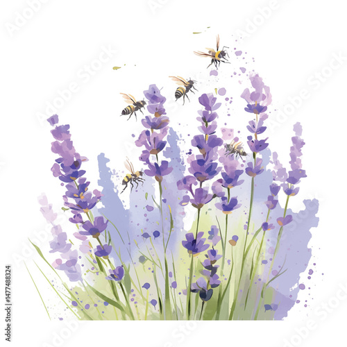 Lavender flowers attract bees during sunny afternoon in a serene garden setting
