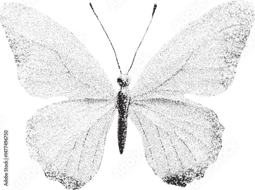 Black and white xerox effect butterfly vector illustration isolated on white background grainy textured butterfly insect wildlife nature animal wings flying symmetrical design element vintage retro